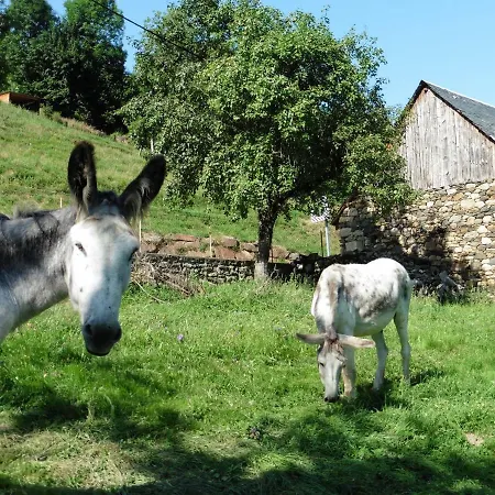 Chalet De Barraou Bed & Breakfast *